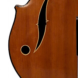 Wardle guitar 5