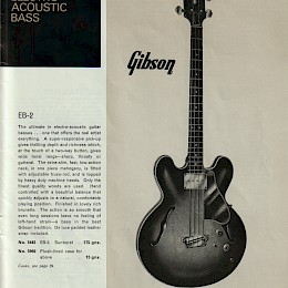1965 Selmer Guitars & Accessoires catalog 31